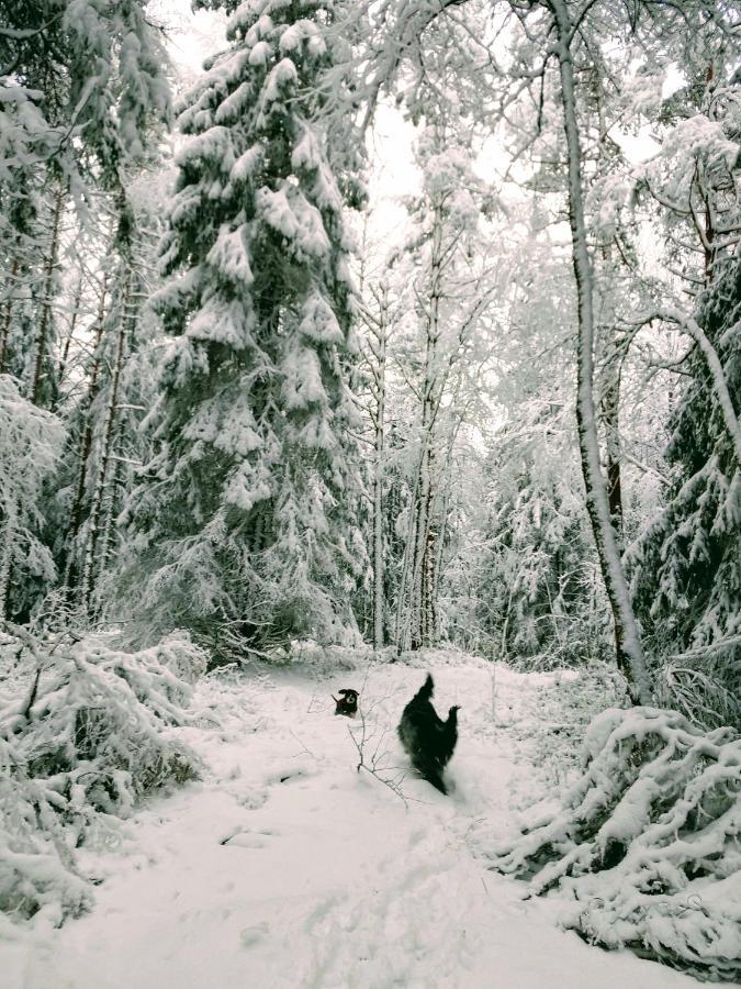 Stuga Glaskogen Glava エクステリア 写真